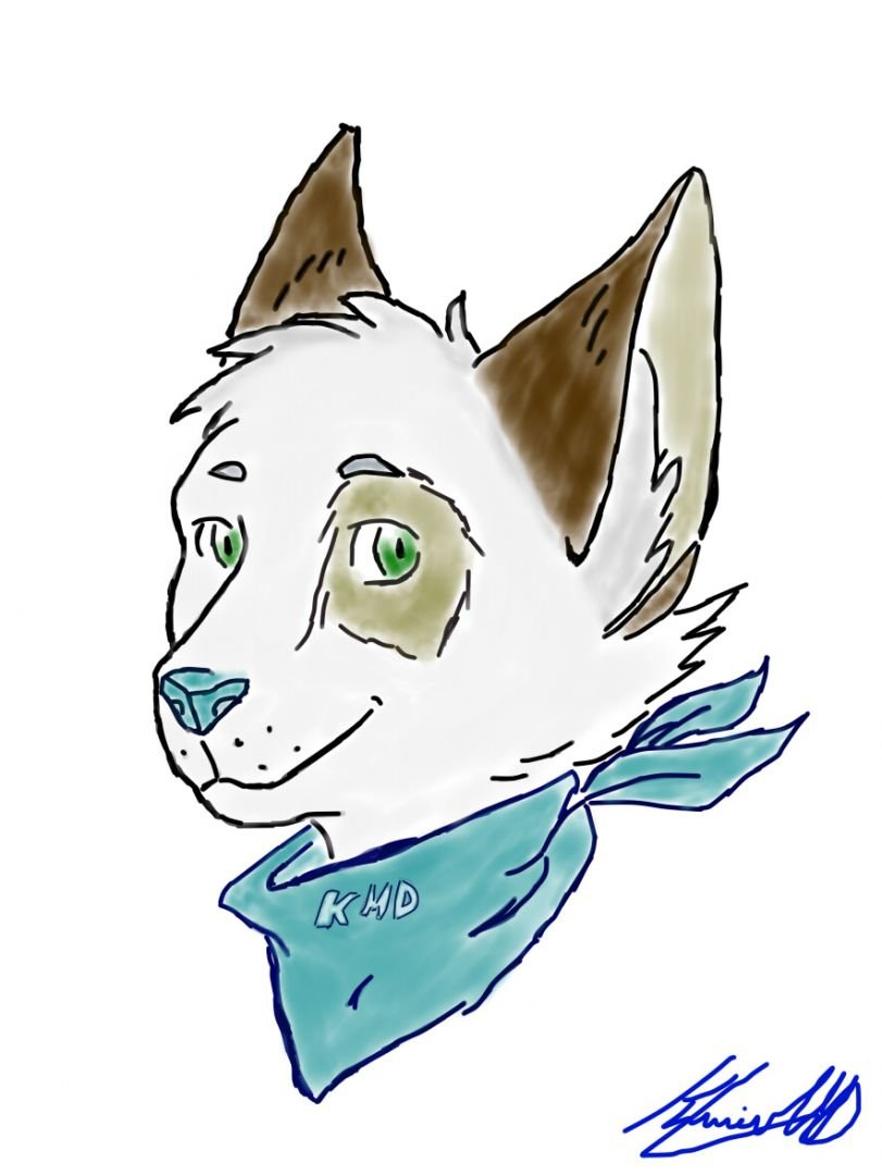 KMD's Fursona