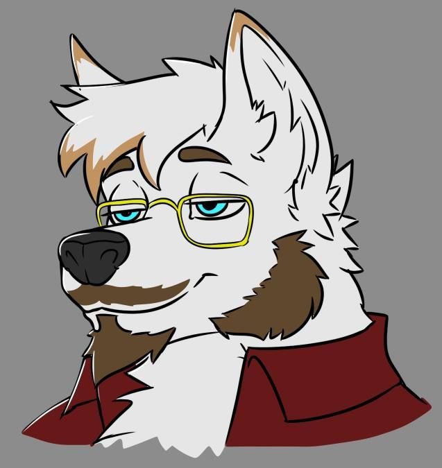 comision realizada tridark gatuso