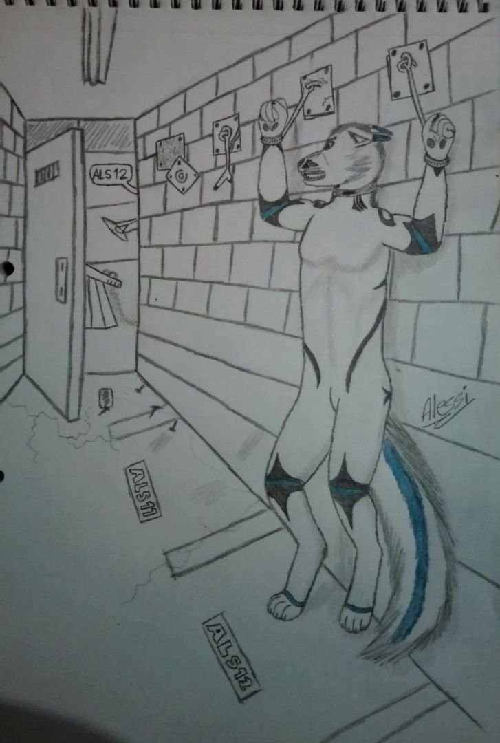 inspirado en recientes experiencias, y un poco de