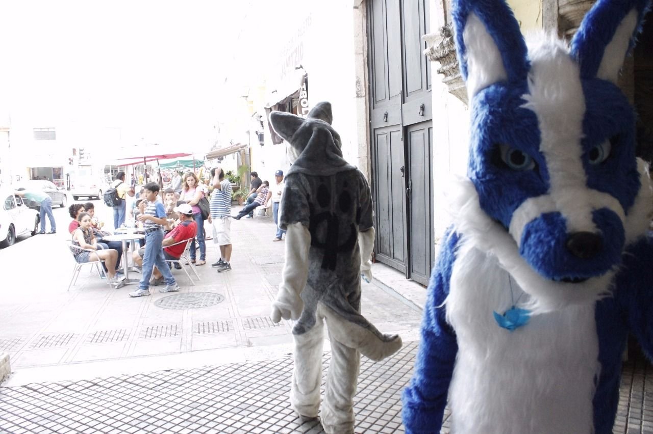 De paseo por la ciudad