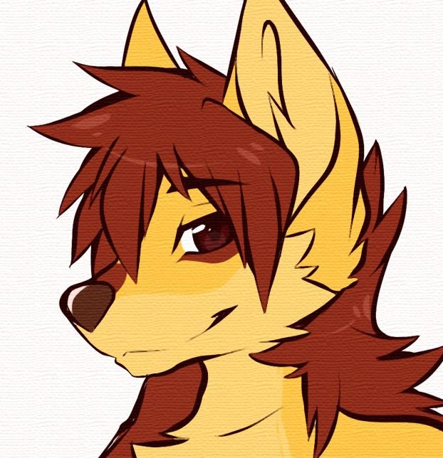 OwO
