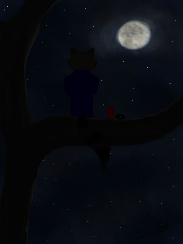 Una cena a la luz de la luna