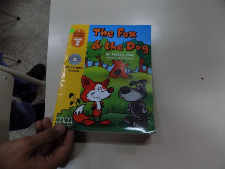 the fox &amp; the dog