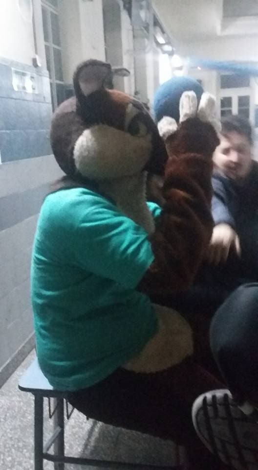 maverick intentando equilibrar una pelota