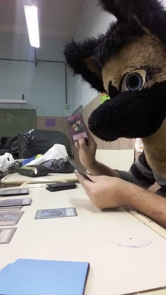 joako con mi fursuit jugando yu-gi-oh 1