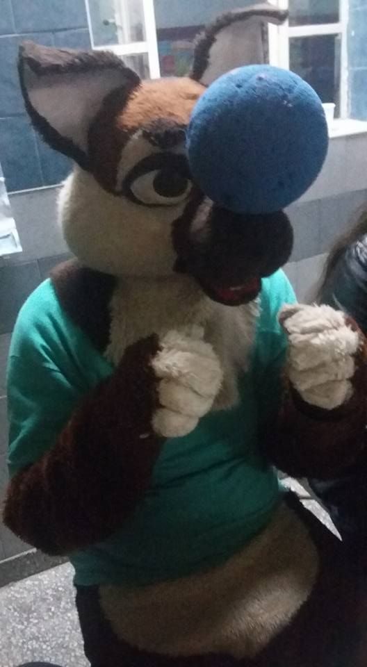 pelota 1