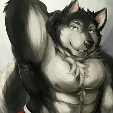 Esta es mi furrsona, un wolfdog