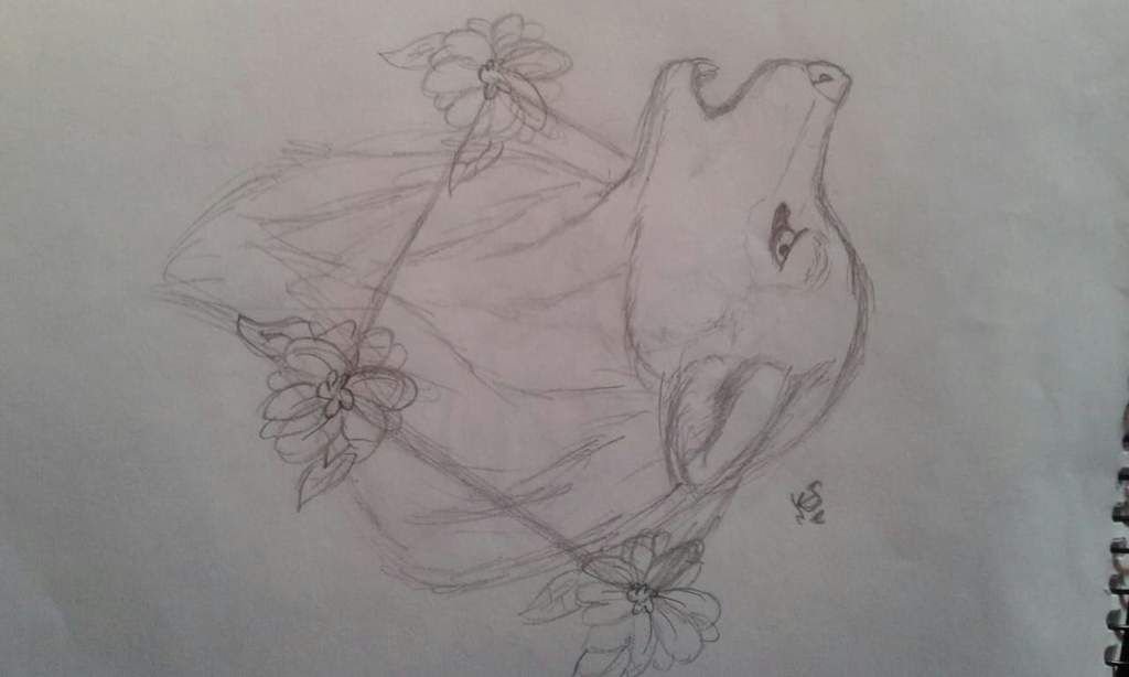 Intento semi-realista de un lobituuu