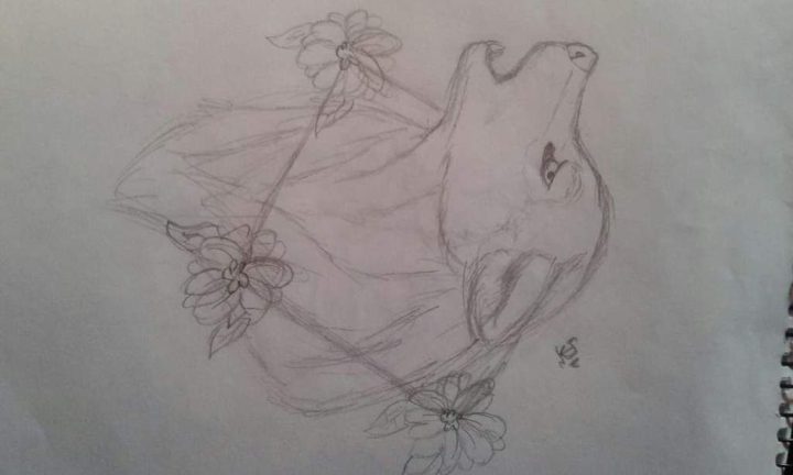 Intento semi-realista de un lobituuu