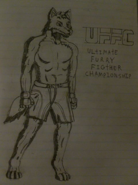 UFFC MMA figther
