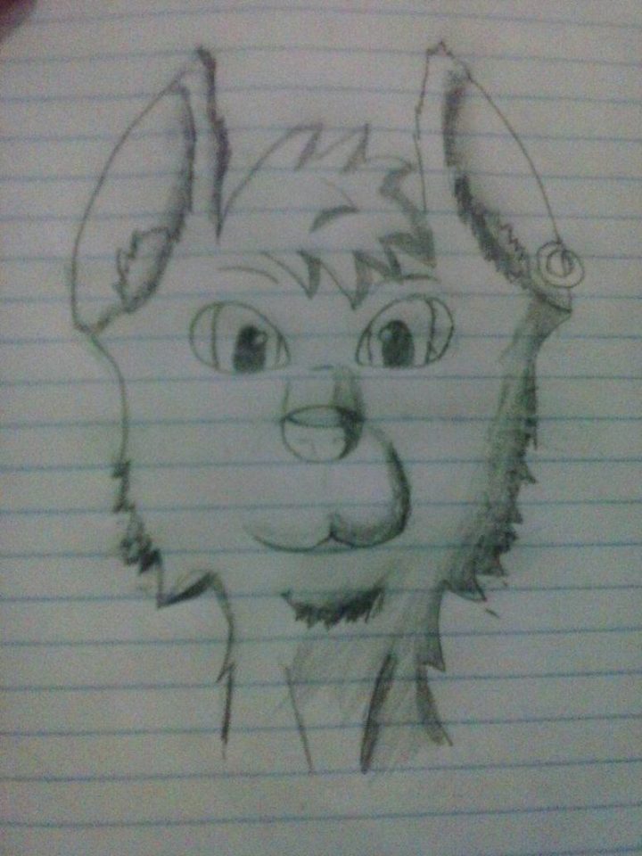primer boceto de mi fursona