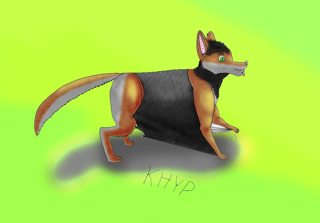 Mi forma feral