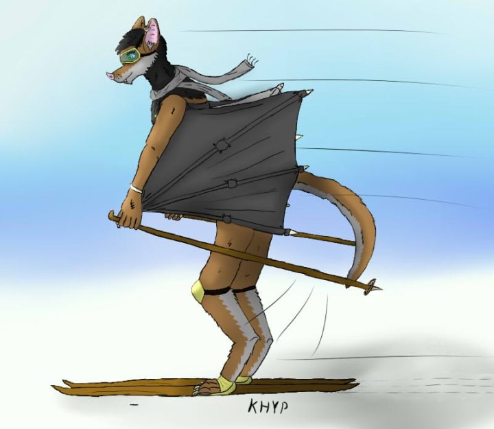 Skiando