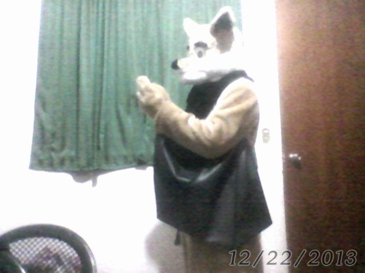 Mi fursuit v 1.5