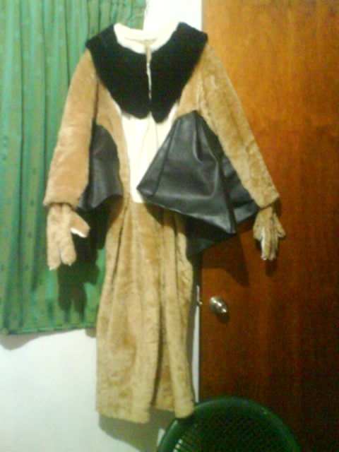Mi fursuit