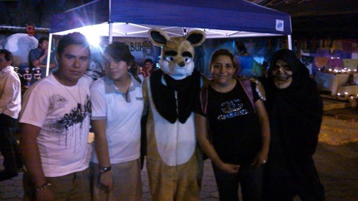 Mi fursuit v 1.0