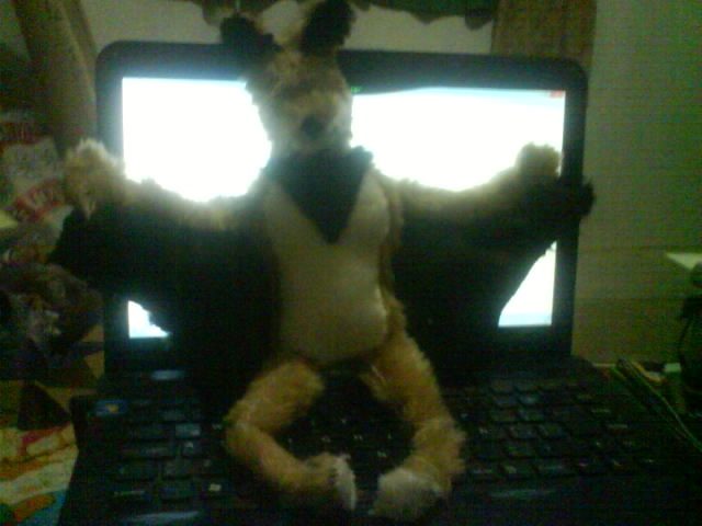 Un peluche que hice hace tiempo