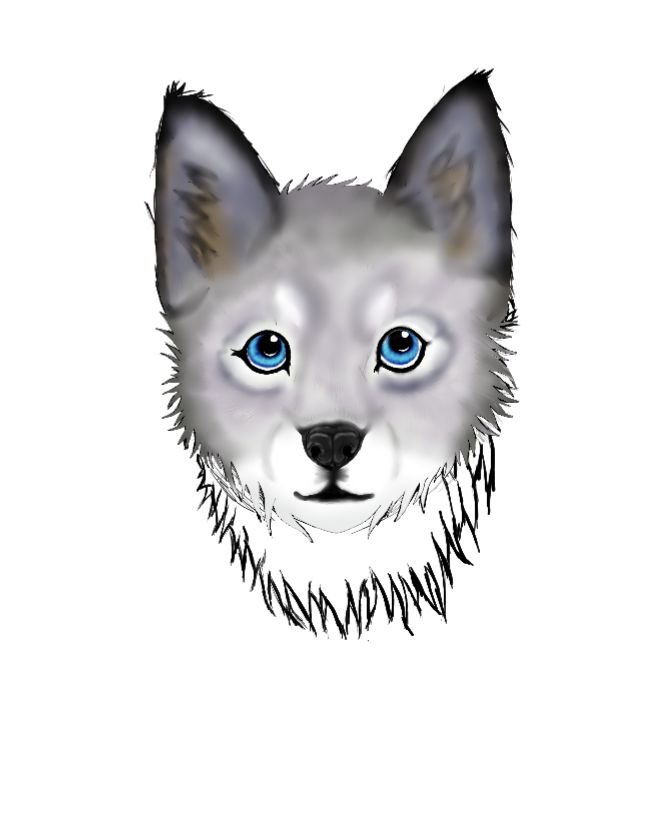 Mi fursona en su versión de lobezno adolescente