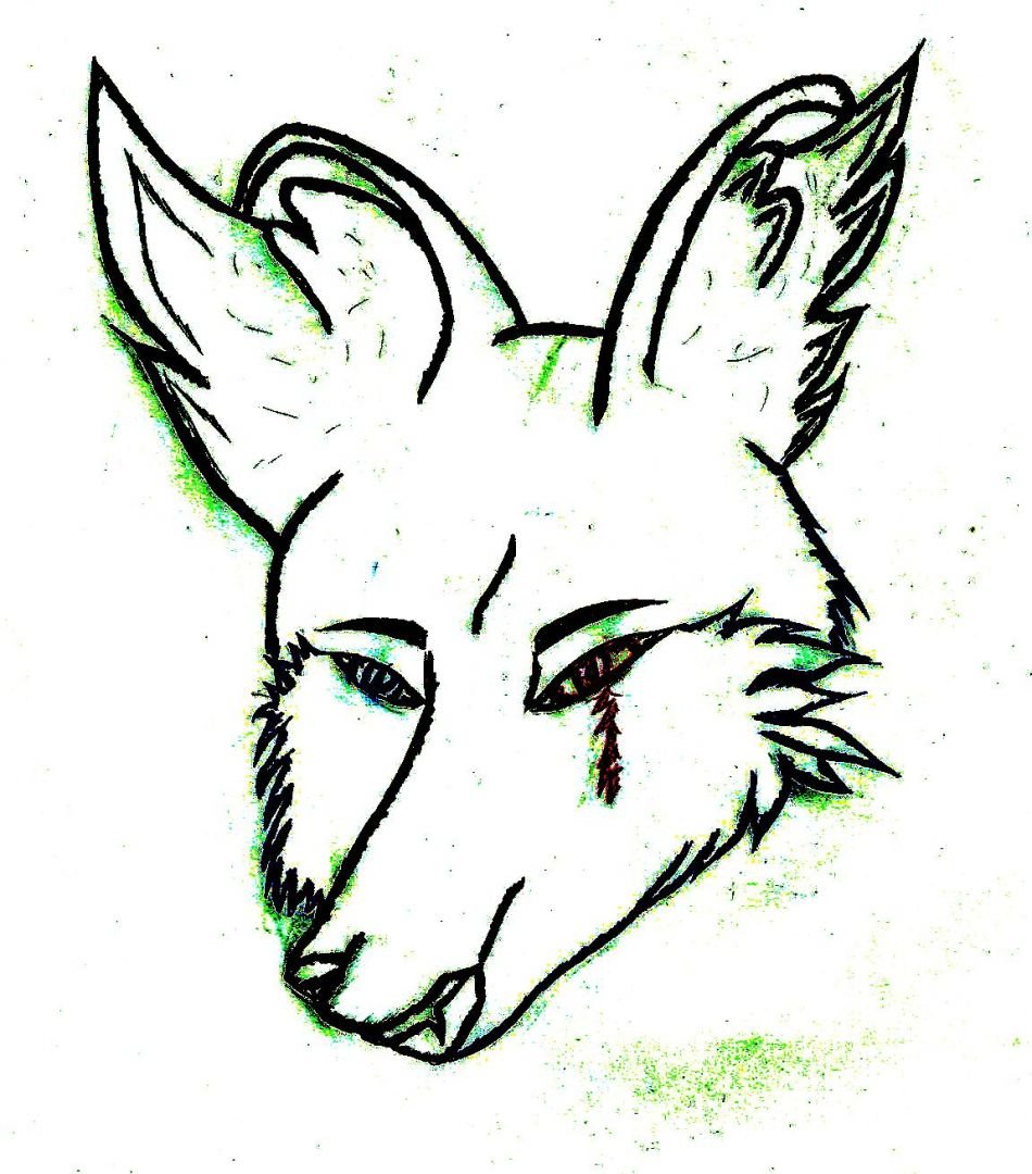 Mi primer dibujo de como banse mi fursona.