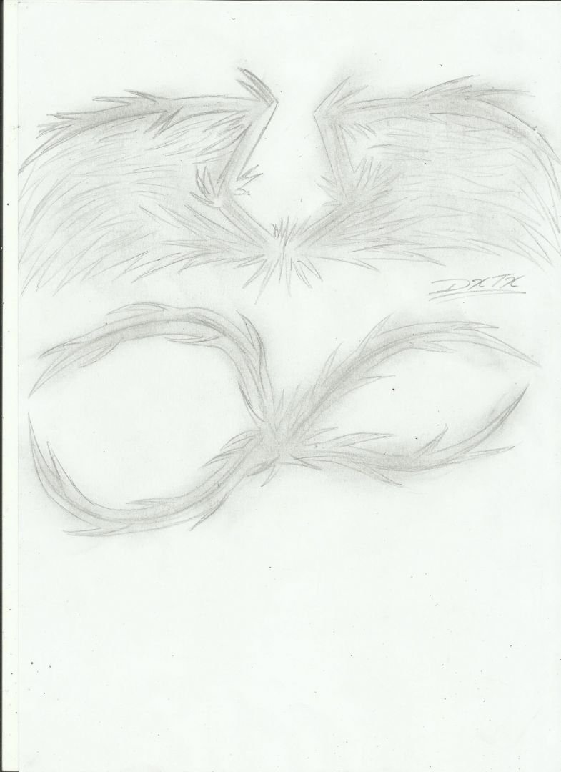 mis alas y mis quinques :3