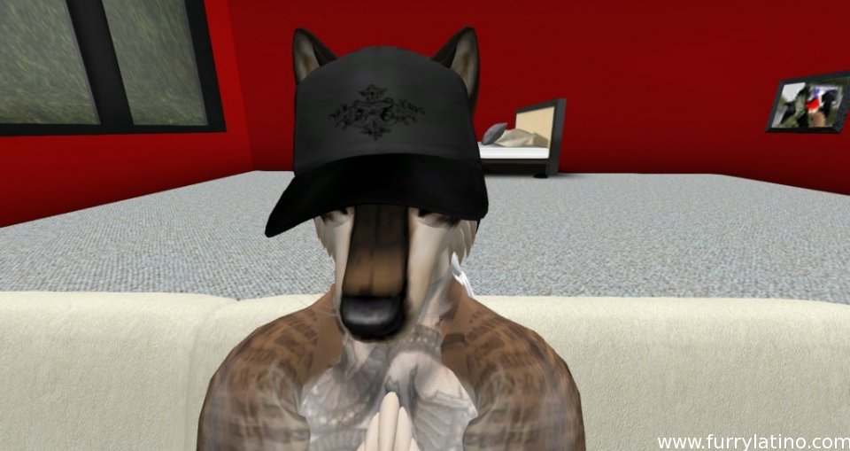 esto es second life furry
