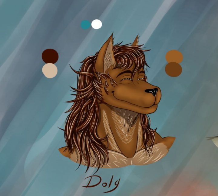 Dolg